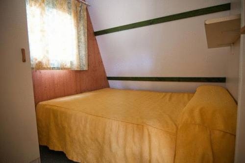 Imagen general del Camping Las Palmeras, Crevillente. Foto 5