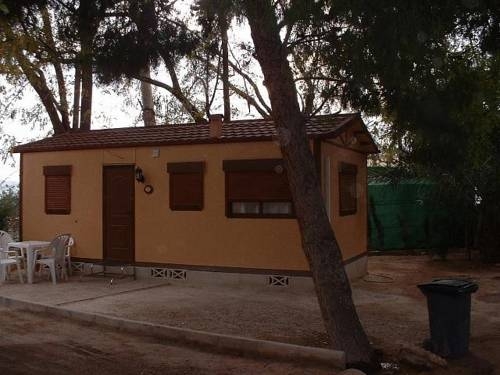 Imagen general del Camping Las Palmeras, Crevillente. Foto 7