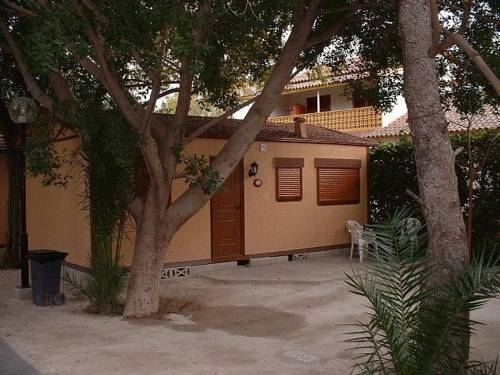 Imagen general del Camping Las Palmeras, Crevillente. Foto 11