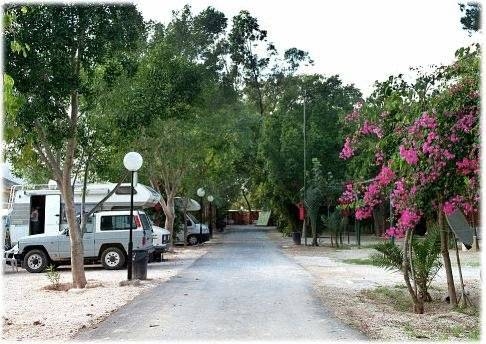 Imagen general del Camping Las Palmeras, Crevillente. Foto 13