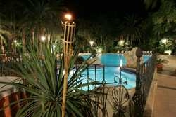 Imagen de la piscina del Camping Las Palmeras, Crevillente. Foto 17