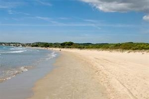 Imagen general del Camping Las Palmeras, Tarragona. Foto 5