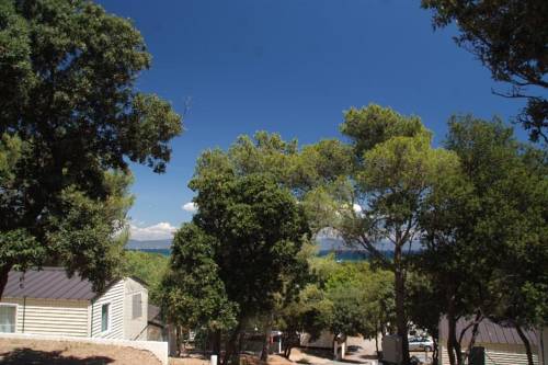 Imagen de la habitación del Camping Le M&eacute;diterran&eacute;e, HYERES. Foto 9