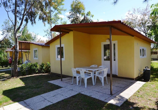 Imagen general del Camping Le Palme, Marina di Bibbona. Foto 2