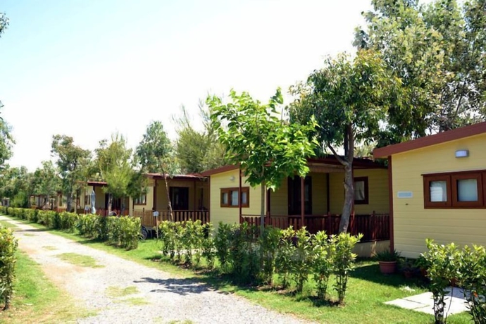 Imagen general del Camping Le Palme, Marina di Bibbona. Foto 3