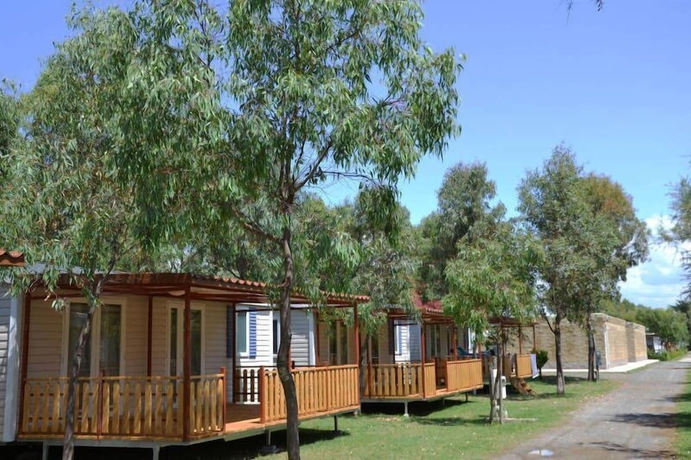 Imagen general del Camping Le Palme, Marina di Bibbona. Foto 5