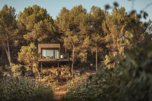 Imagen general del Camping Les Cabanes de l'Oller del Mas. Foto 12