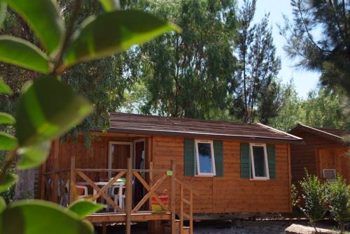 Imagen de la habitación del Camping Les Palmiers. Foto 14