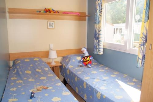 Imagen general del Camping Les Rives Du Loup. Foto 7