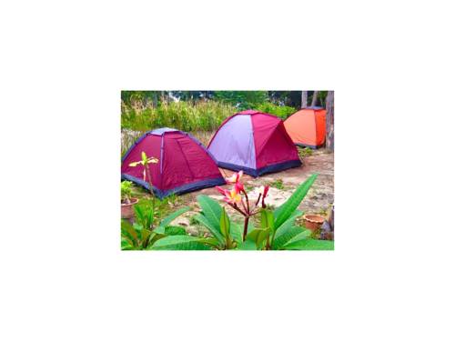 Imagen de la habitación del Camping Lipe Zone and Bungalows. Foto 11