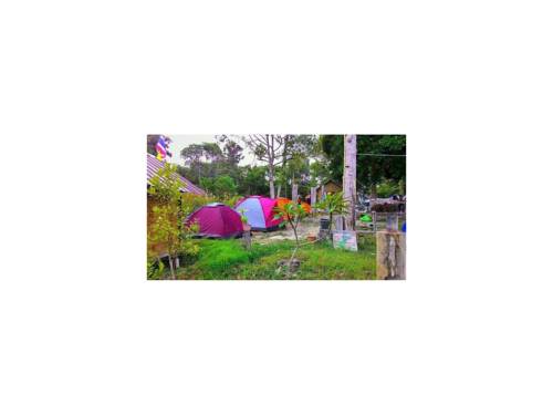 Imagen de la habitación del Camping Lipe Zone and Bungalows. Foto 14