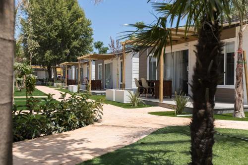 Imagen de los interiores del Camping Los Llanos. Foto 10