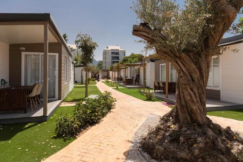 Imagen de los interiores del Camping Los Llanos. Foto 11