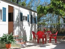 Imagen de los exteriores del Camping Los Pinos, Peñíscola. Foto 6