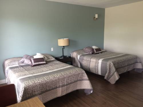 Imagen de la habitación del Camping Motel And Colibri. Foto 2