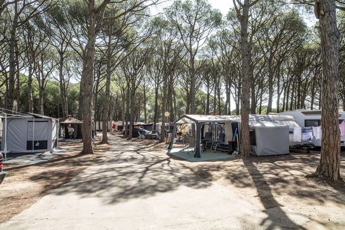 Imagen de los interiores del Camping Neptuno, Playa de Pals. Foto 16