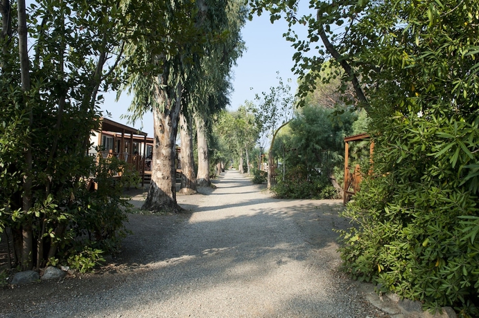 Imagen de los exteriores del Camping New Le Tamerici. Foto 12