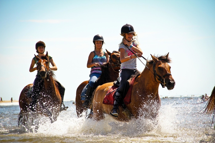 Imagen de los exteriores del Camping Officiel Siblu Les Dunes De Contis. Foto 16