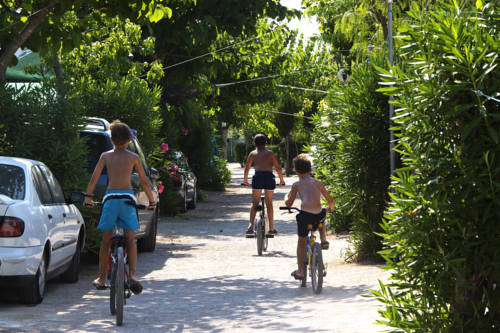 Imagen de la habitación del Camping Ol&eacute;. Foto 2