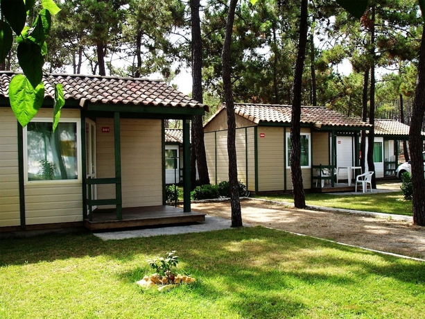 Imagen de la habitación del Camping Parque De Campismo Orbitur Gala. Foto 2