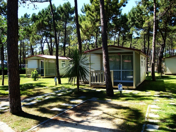 Imagen de la habitación del Camping Parque De Campismo Orbitur Gala. Foto 6