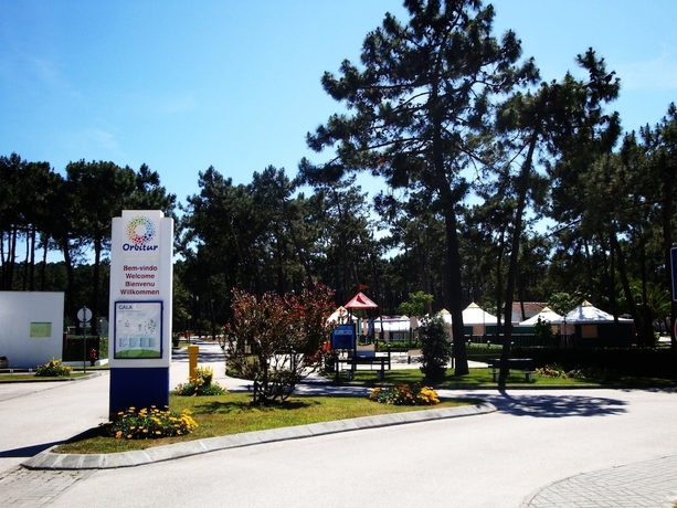 Imagen de los interiores del Camping Parque De Campismo Orbitur Gala. Foto 18