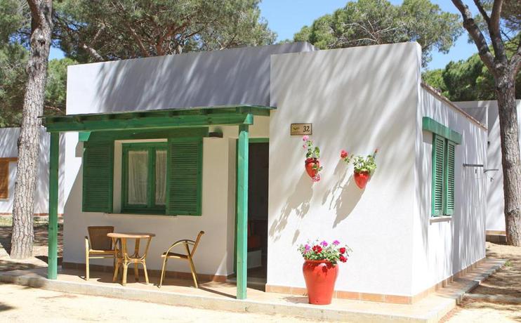 Imagen general del Camping Pinar San José. Foto 10