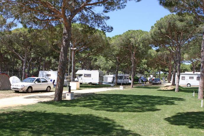 Imagen general del Camping Pinar San José. Foto 4