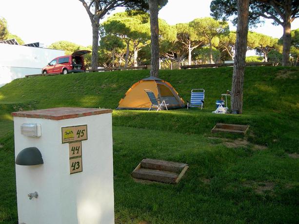 Imagen general del Camping Pinar San José. Foto 6