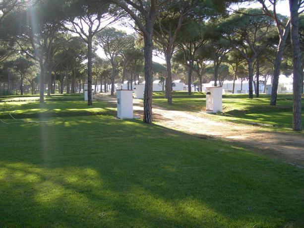 Imagen general del Camping Pinar San José. Foto 7