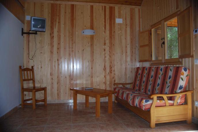 Imagen de los interiores del Camping Pineta, Bielsa. Foto 7