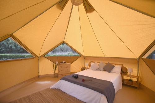 Imagen de la habitación del Camping Pla de la Torre. Foto 4
