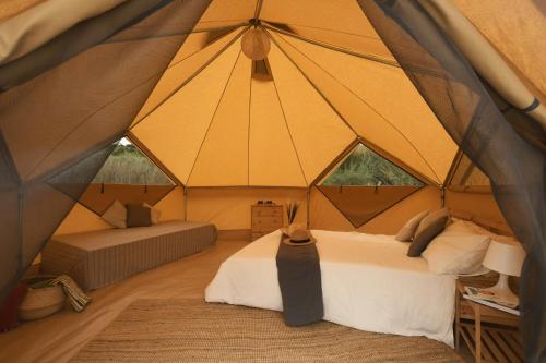 Imagen de la habitación del Camping Pla de la Torre. Foto 9
