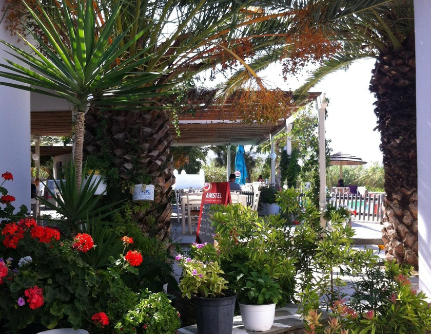 Imagen general del Camping Plaka Naxos. Foto 6