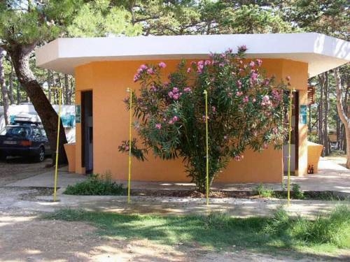 Imagen general del Camping Planik. Foto 5