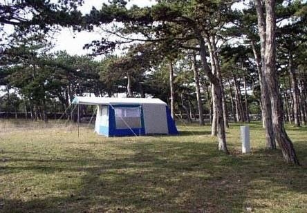 Imagen general del Camping Planik. Foto 6