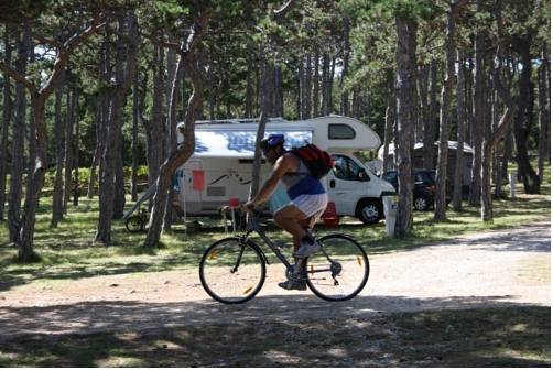 Imagen general del Camping Planik. Foto 10