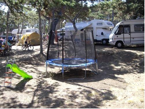 Imagen general del Camping Planik. Foto 11
