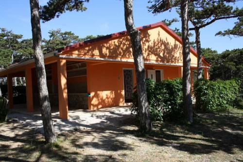 Imagen general del Camping Planik. Foto 13