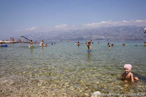 Imagen general del Camping Planik. Foto 15