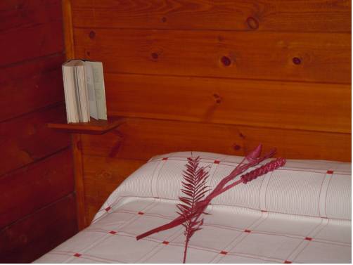 Imagen de la habitación del Camping Playa Canelas. Foto 5