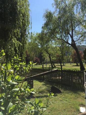 Imagen de los exteriores del Camping Playa Sauces. Foto 11