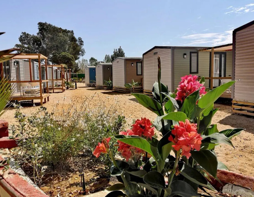 Imagen general del Camping Playa Taray. Foto 1