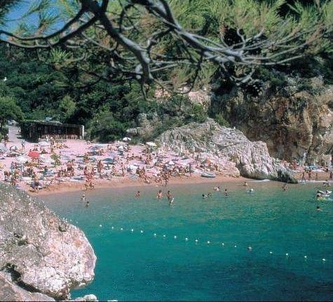 Imagen general del Camping Pola Camping. Foto 12