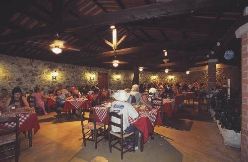 Imagen general del Camping Pola Camping. Foto 8