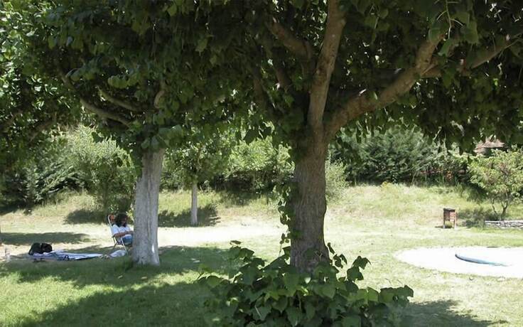 Imagen general del Camping Pont d'Ardaix. Foto 13