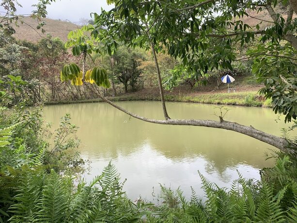 Imagen general del Camping Pousada and Serras Verdes. Foto 14