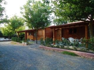 Imagen de la piscina del Camping Prades. Foto 8