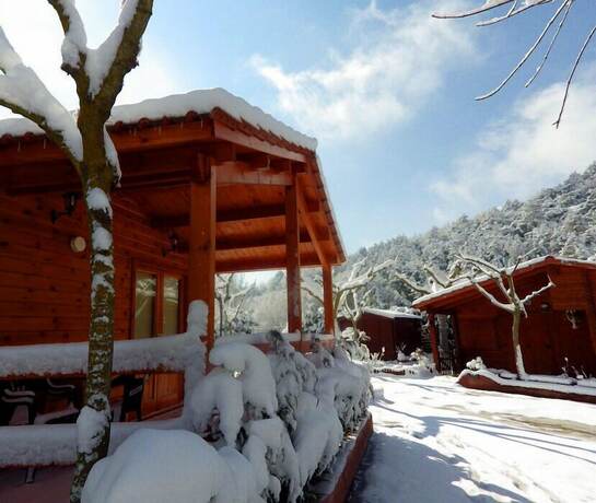 Imagen general del Camping Prades Park. Foto 10
