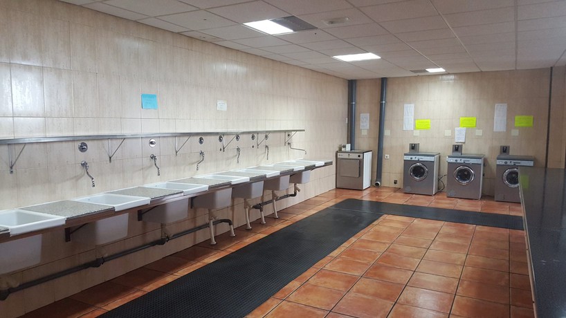 Imagen de los interiores del Camping Punta Marina, Isla. Foto 8